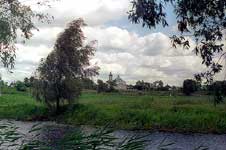 Belayki_3L.jpg (7629 bytes)