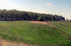 Utro_2L.jpg (11466 bytes)