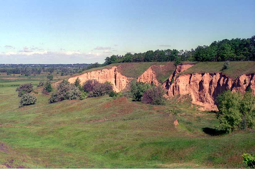 Vishnayki_2.jpg (61349 bytes)