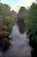 r_Horol_1L.jpg (9294 bytes)