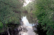 r_Horol_4L.jpg (12976 bytes)
