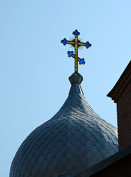 DSC_5873.jpg (37827 bytes)