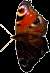 3.gif (3246 bytes)