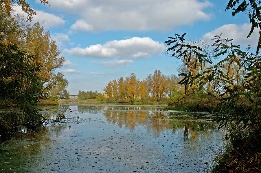 Kagamlik_1.jpg (46345 bytes)