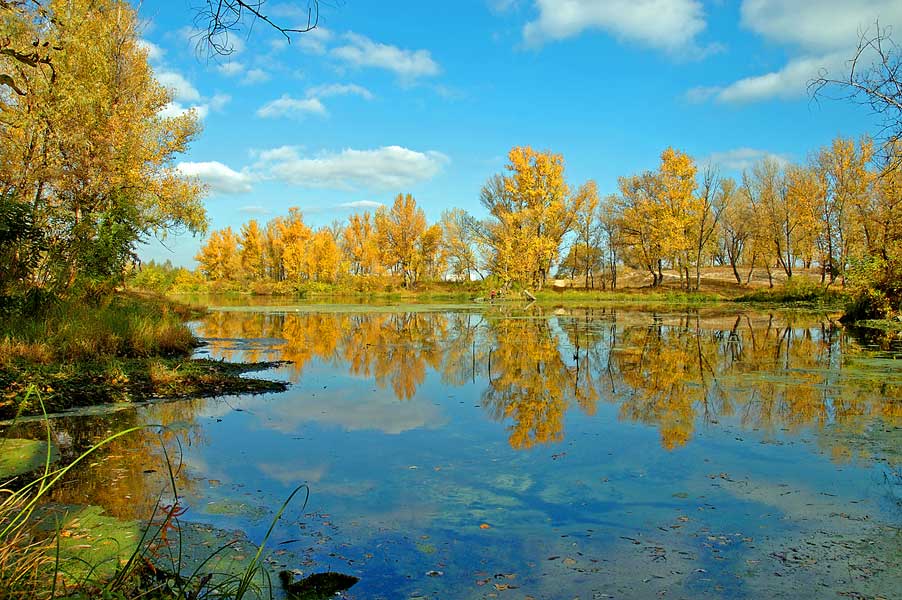 Kagamlik_1.jpg (46345 bytes)