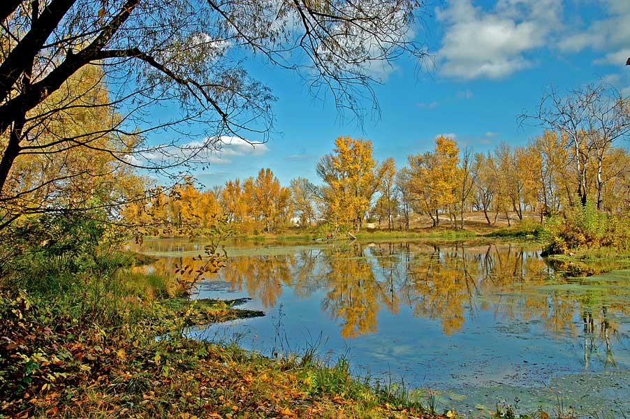 Kagamlik_1.jpg (46345 bytes)