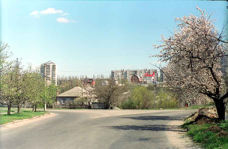 Park_1.jpg (78199 bytes)