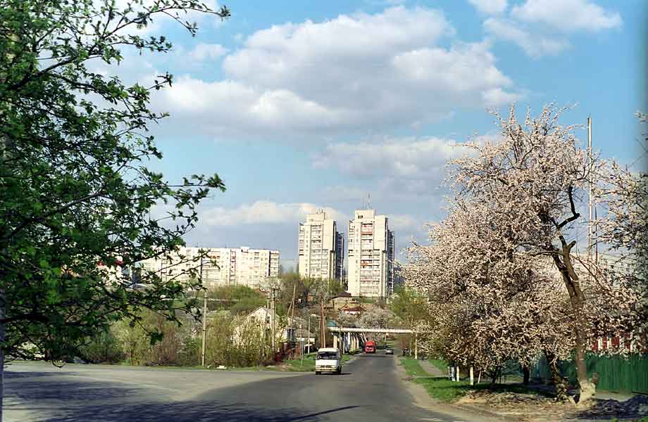 Park_1.jpg (78199 bytes)