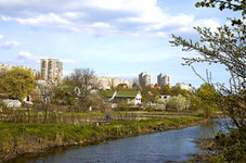 Gora_9L.jpg (5369 bytes)
