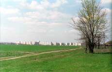 MolodegniyL.jpg (4823 bytes)