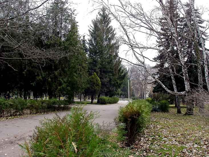 Park_1.jpg (78199 bytes)