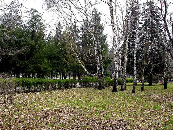 Park_1.jpg (78199 bytes)