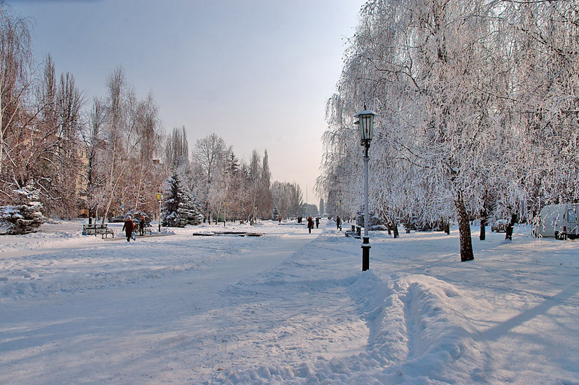 Park_1.jpg (78199 bytes)
