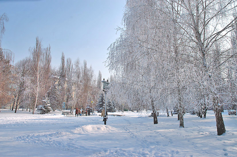 Park_1.jpg (78199 bytes)