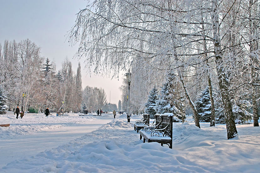 Park_1.jpg (78199 bytes)