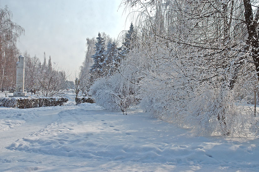 Park_1.jpg (78199 bytes)