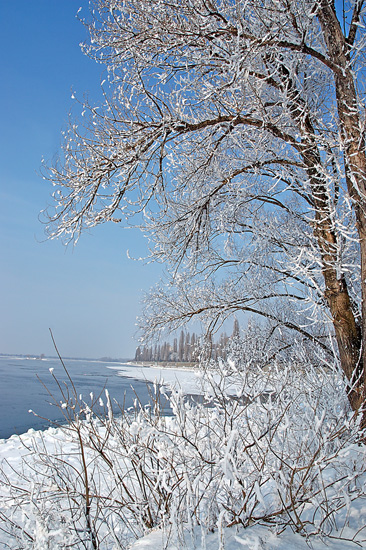 Park_1.jpg (78199 bytes)