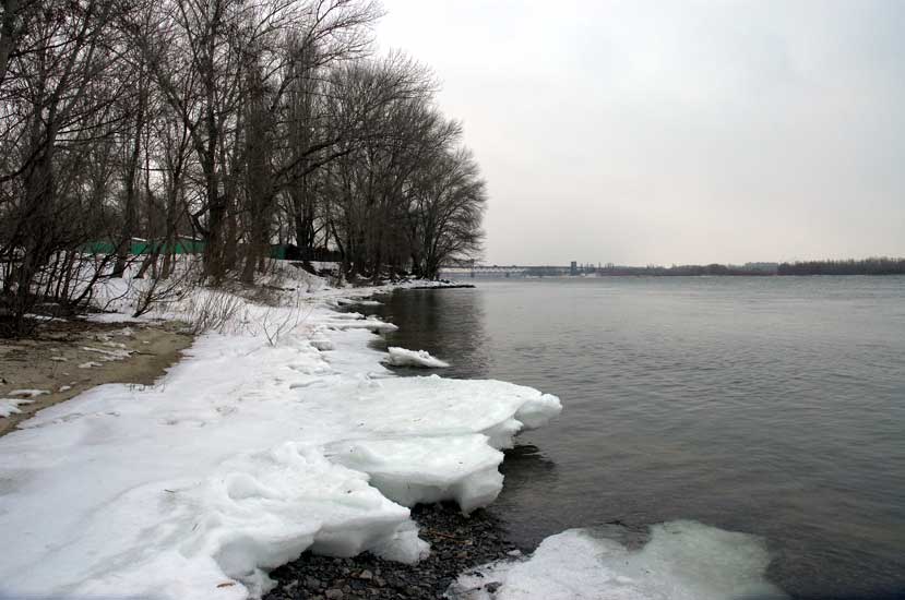 Park_1.jpg (78199 bytes)
